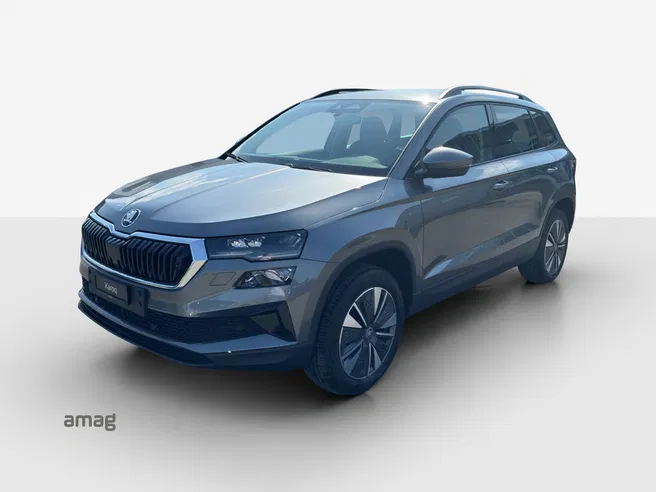 Škoda Karoq Dynamic (Netto)