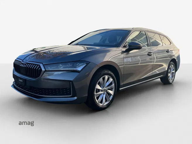 Škoda Sup. SE 2.0 TDI 193PS 4x4 DSG