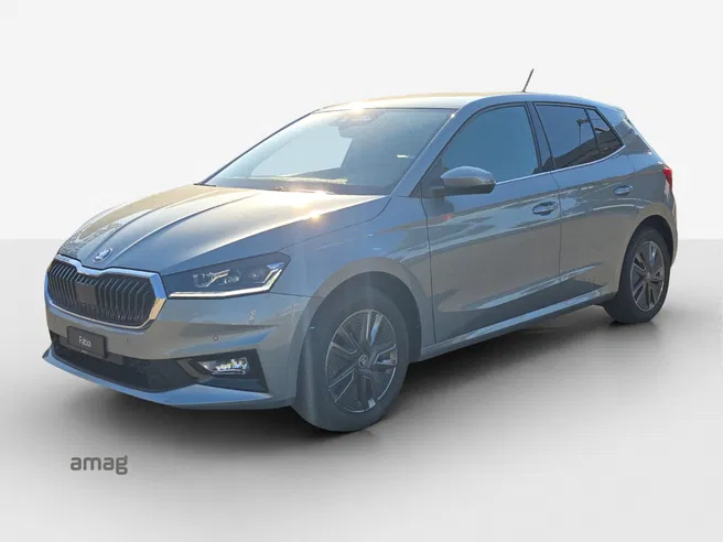 Škoda Fabia Dynamic (Netto)