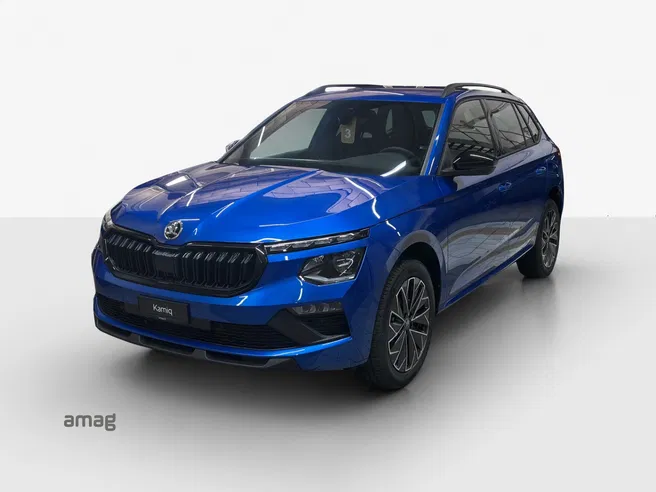 Škoda Kamiq Dynamic (Netto)