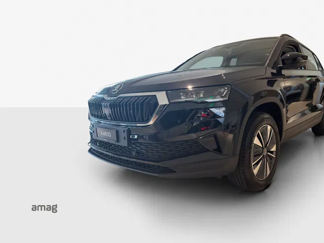 Škoda Karoq Dynamic (Netto)