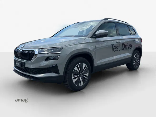 Škoda Karoq Dynamic (Netto)