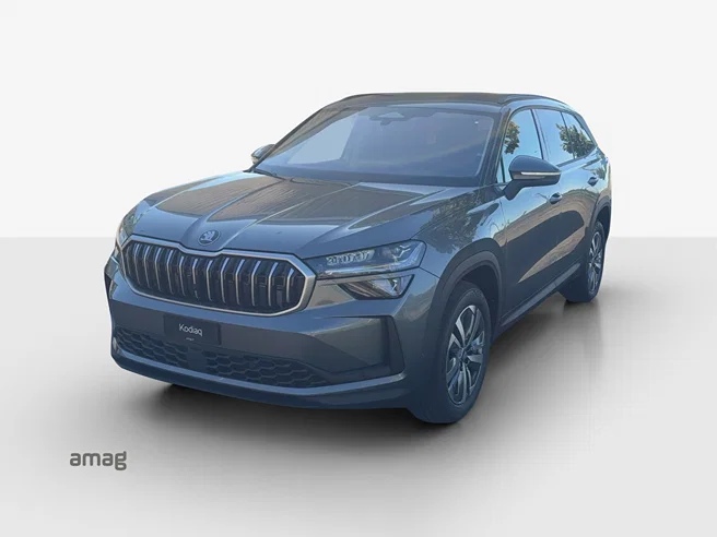 Škoda Kodiaq Dynamic (Netto)