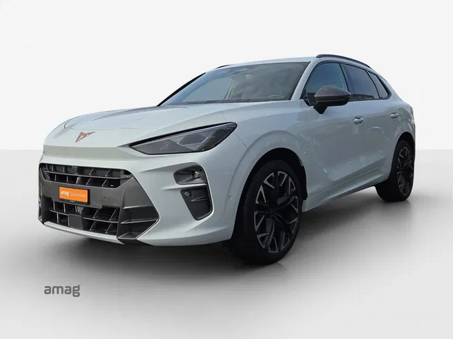Cupra CUPRA TERRAMAR 4DRIVE