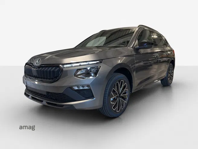 Škoda Kamiq Dynamic (Netto)