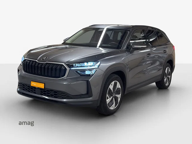 Škoda Kodiaq Dynamic (Netto)