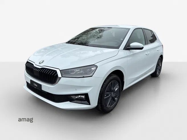 Škoda Fabia Dynamic (Netto)