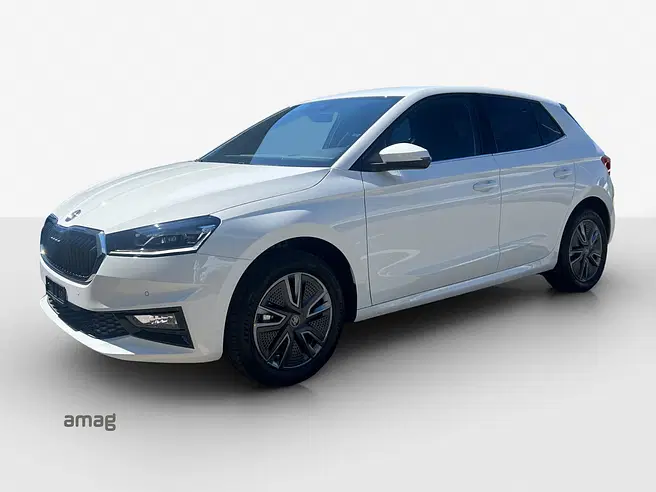 Škoda Fabia Dynamic (Netto)