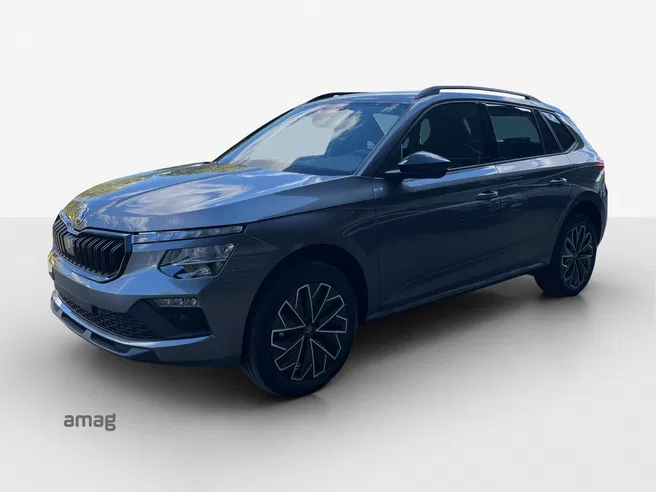 Škoda Kamiq Dynamic (Netto)