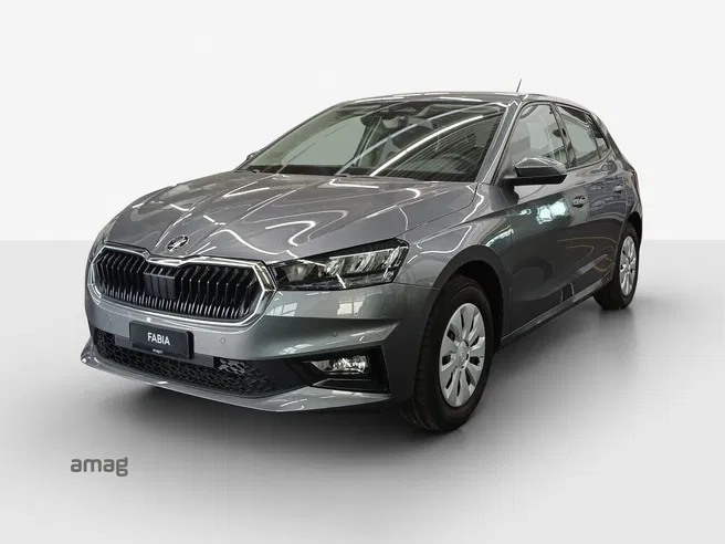 Škoda Fabia Selection