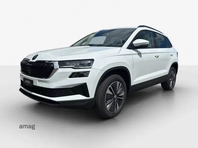 Škoda Karoq Dynamic (Netto)