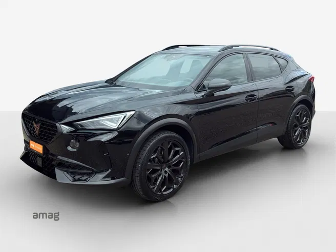 Cupra CUPRA FORMENTOR 2.0 TSI 245PS TRIBE EDITION (netto)