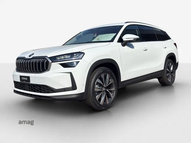Škoda Kodiaq Dynamic (Netto)