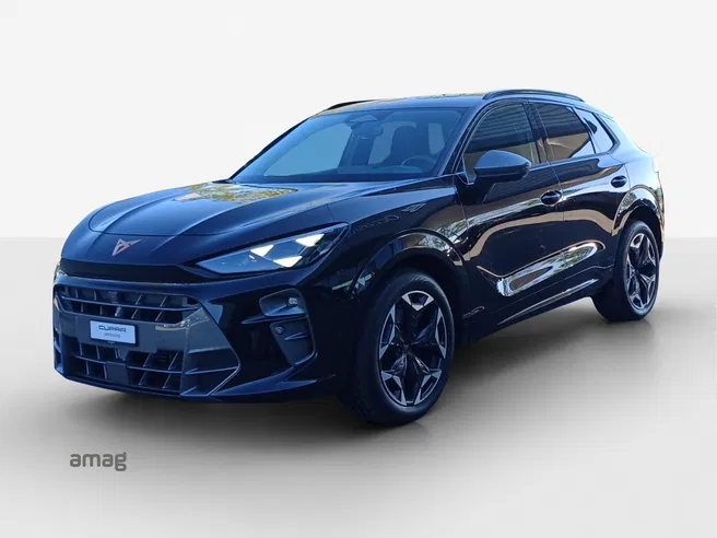 Cupra CUPRA TERRAMAR 4DRIVE