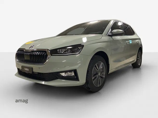 Škoda Fabia Dynamic (Netto)