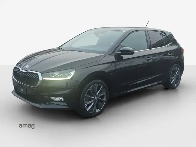 Škoda Fabia Dynamic (Netto)