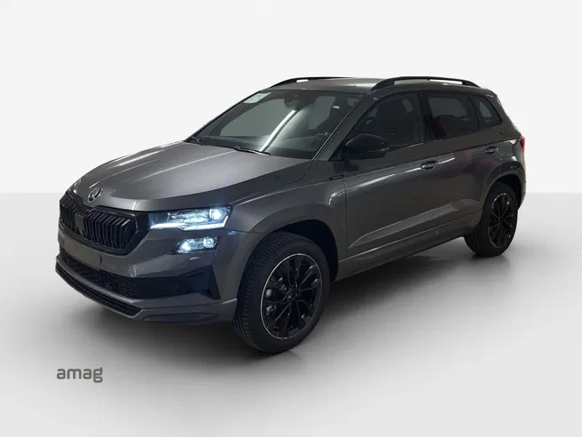 Škoda Karoq «Dynamic» Limited Edition (Netto)