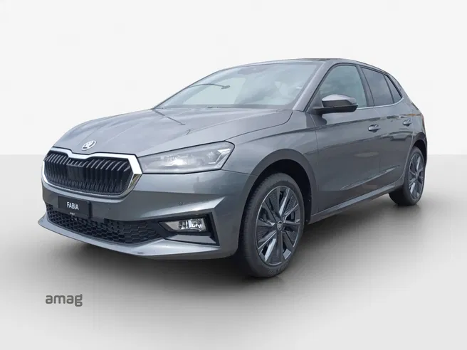 Škoda Fabia Dynamic (Netto)