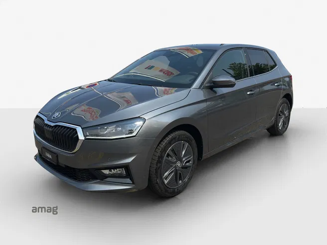 Škoda Fabia Dynamic (Netto)