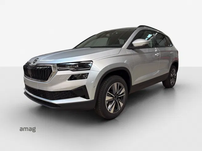 Škoda Karoq Dynamic (Netto)