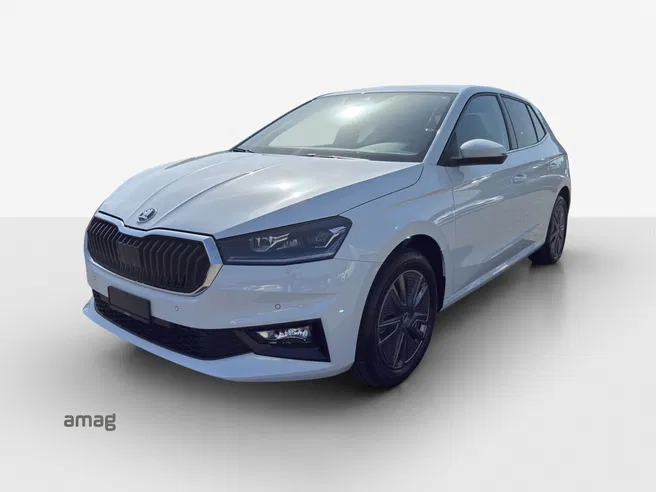 Škoda Fabia Dynamic (Netto)