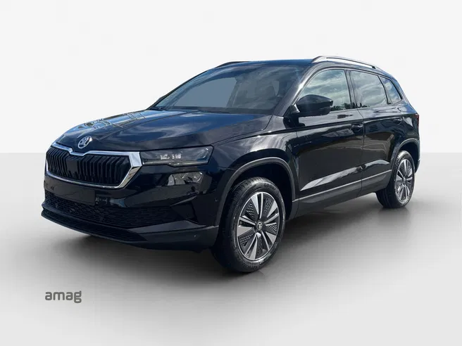 Škoda Karoq Dynamic (Netto)