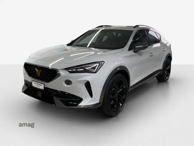 Cupra Formentor VZ 2.0TSI 310PS 7D 4