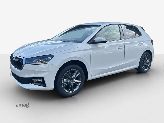Škoda Fabia Dynamic (Netto)