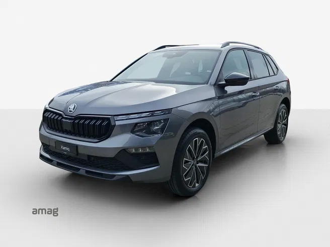 Škoda Kamiq Dynamic (Netto)