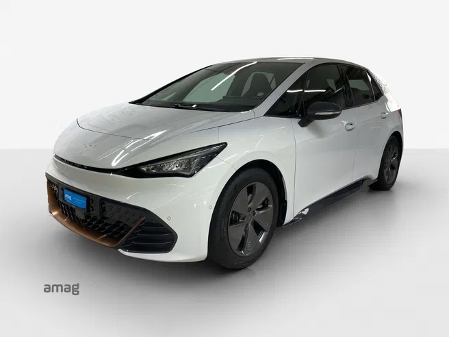 Cupra NEW BORN (net)